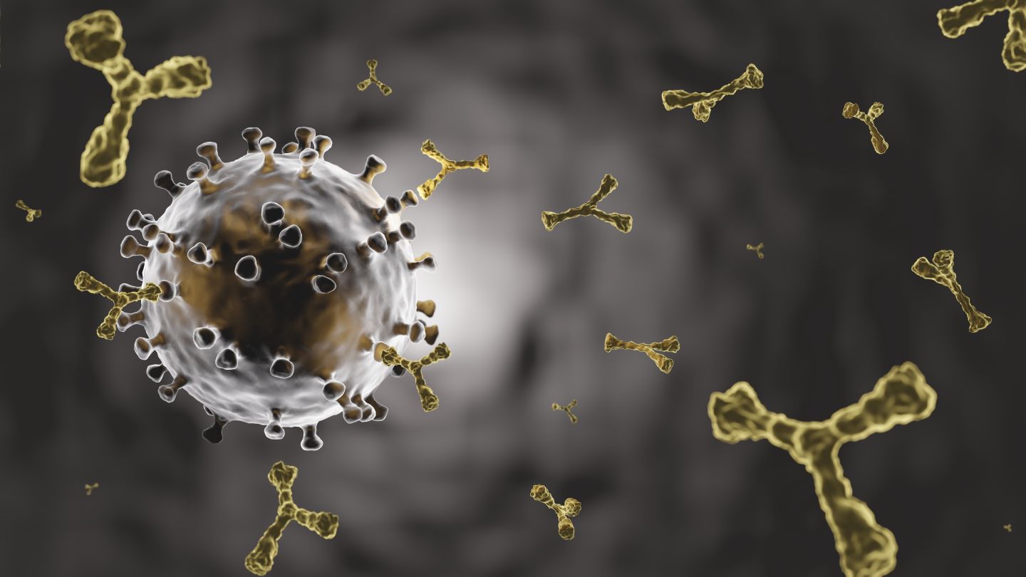 COVID-19 . Coronavirus antibody